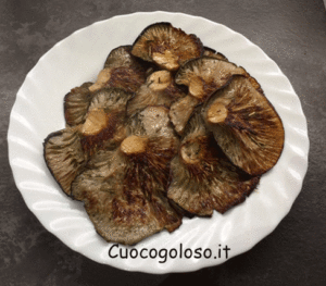 pleurot.grigl_.4-300x263 Funghi Pleurotus al Rosmarino