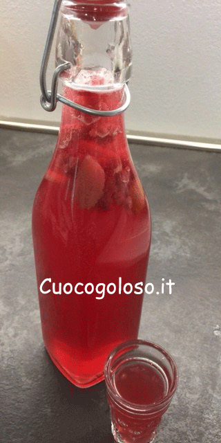 IMG_6657 Liquore ai Lamponi e Limone