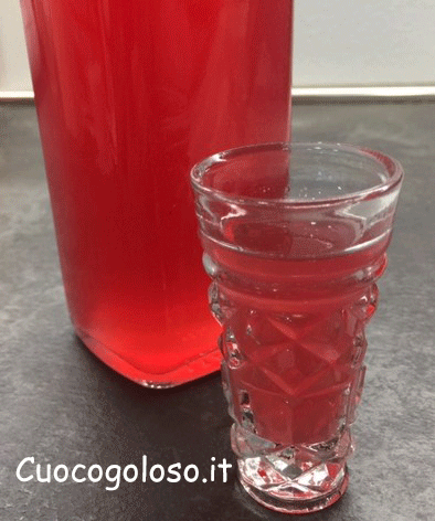 liquore-ai-lamponi-e-limoni.6 Liquore ai Lamponi e Limone
