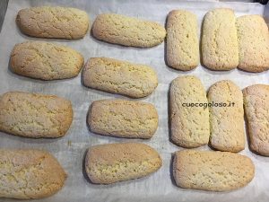 biscotti-inzupposi-3-300x225 Biscotti da Inzuppare