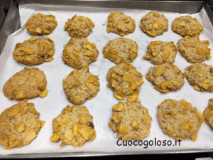 rose-del-deserto.4-300x225 Rose del Deserto Extragolose