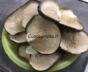 pleurot.grigl_-300x245 Funghi Pleurotus al Rosmarino