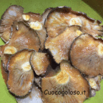 frittipleu-150x150 Cotolette di Funghi Pleurotus alla Paprika Dolce