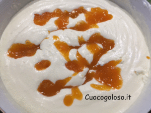 gelato-con-composta-di-albicocche.4-300x225 Gelato con Composta di Albicocche senza Gelatiera