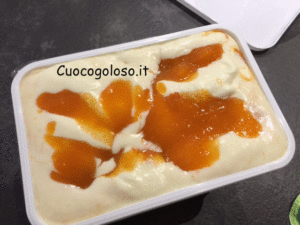 gelato-con-composta-di-albicocche.5-300x225 Gelato con Composta di Albicocche senza Gelatiera