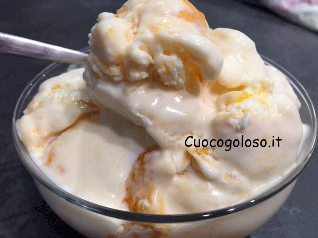 gelato-con-composta-di-albicocche.6 Gelato con Composta di Albicocche senza Gelatiera
