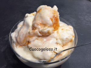 gelato-con-composta-di-albicocche.7-300x225 Gelato con Yogurt alla Nocciola senza Gelatiera
