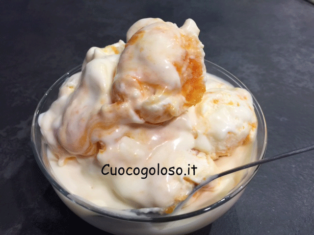 gelato-con-composta-di-albicocche.7 Gelato con Composta di Albicocche senza Gelatiera