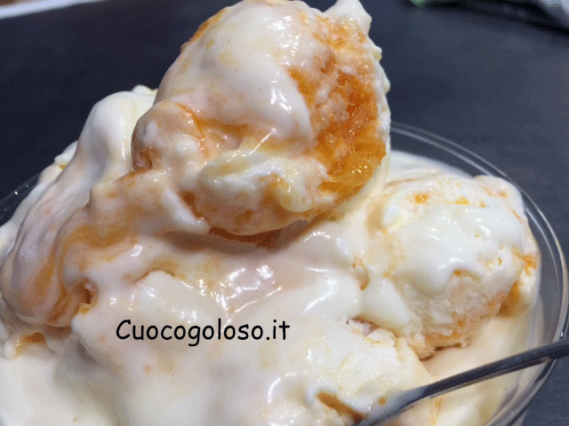 gelato-con-composta-di-albicocche.8 Gelato con Composta di Albicocche senza Gelatiera