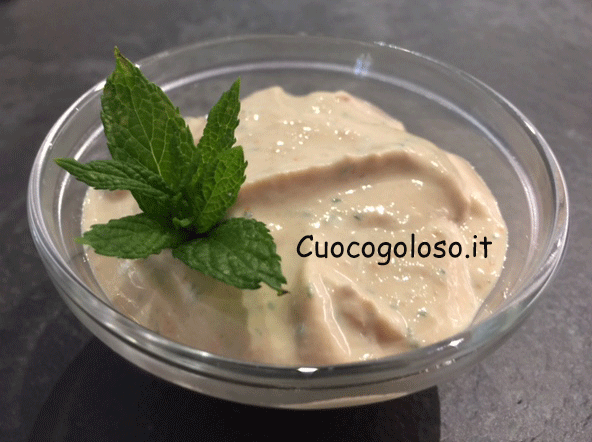 salsa-di-yogurt-greco-soia-e-pomodori-secchi2 Salsa di Yogurt Greco con Pomodori Secchi e Menta