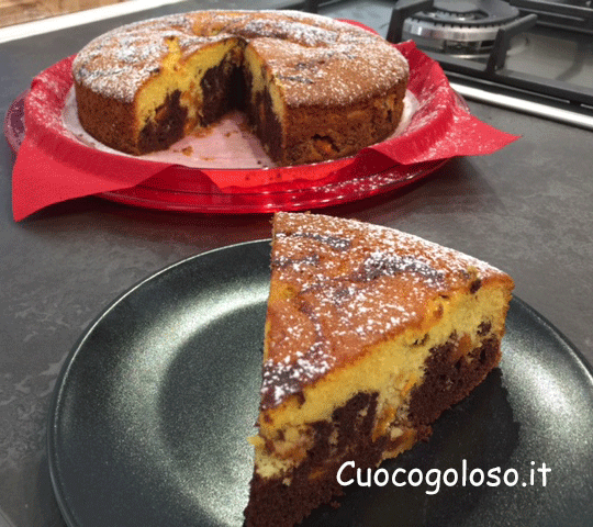 torta-bicolor-variegata-allalbicocca.11 Torta Marmorizzata Supersoffice con Albicocche