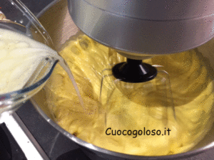 torta-bicolor-variegata-allalbicocca.3-300x225 Torta Marmorizzata Supersoffice con Albicocche