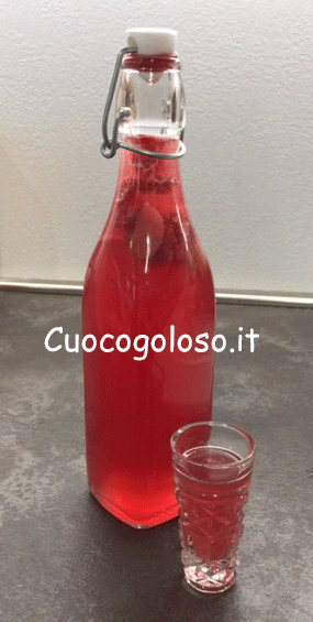 liquore-ai-lamponi-e-limoni.7 Liquore ai Lamponi e Limone