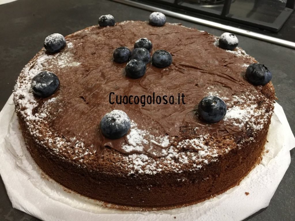 D423700C-3FFF-499C-94E0-BB295A709570-1024x768 Torta alla Nutella variegata ai Mirtilli