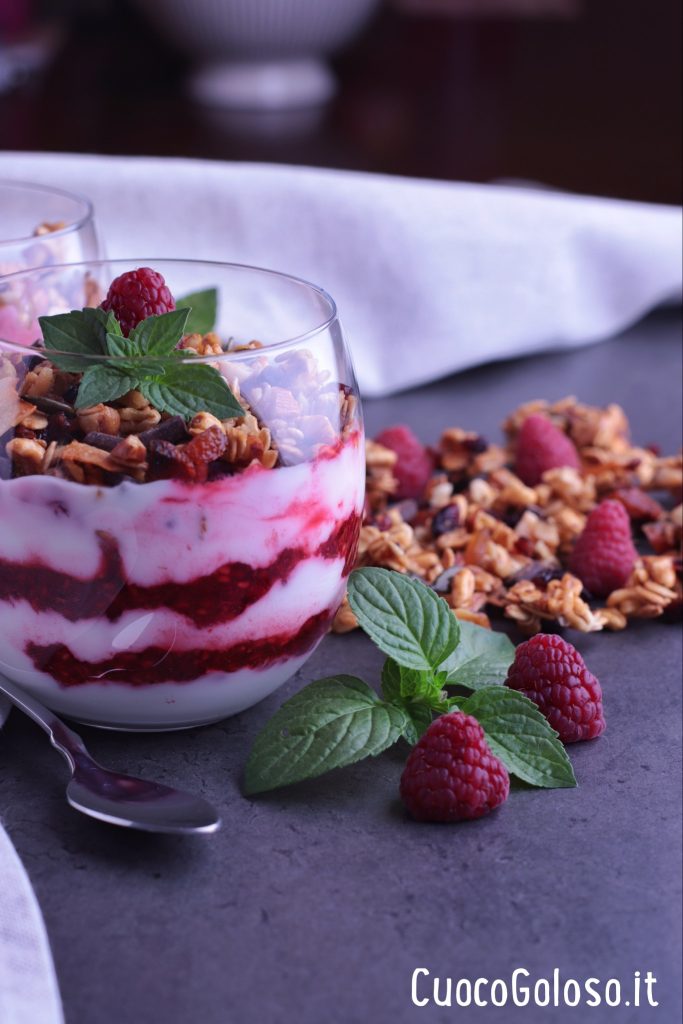 85E6771E-F389-40D8-97F2-278F7D159B5F-683x1024 Coppa con Crema di Yogurt, Lamponi pestati e Granola